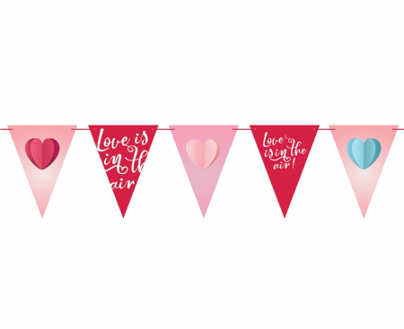 GOD GHIRLANDA DIN HARTIE Love is in the air, 21*28cm 270cm, RV-GPFL [1]