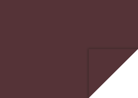 Carton color 50x70 - KP CARTON 50*70 300GR MARO INCHIS 4726279