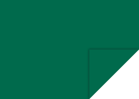 Carton color 50x70 - KP CARTON 50*70 300GR VERDE INCHIS 4726259