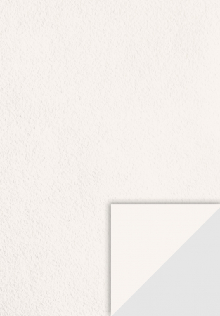 HARTIE PRODUSE DIN HARTIE - KP CARTON A4 220GR ALB 4720100