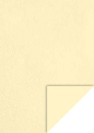 Hartie si cartoane colorate A4, A3 - KP CARTON A4 220GR CHAMOIS 4720111