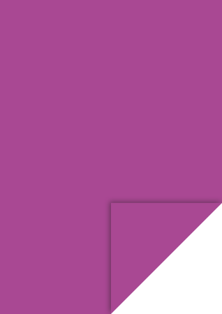 Hartie si cartoane colorate A4, A3 - KP CARTON A4 300GR BLACKBERRY 4726465