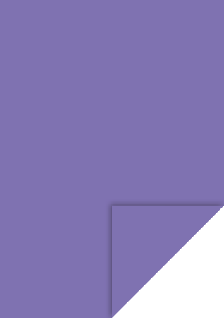 Hartie si cartoane colorate A4, A3 - KP CARTON A4 300GR LILIAC 4726466