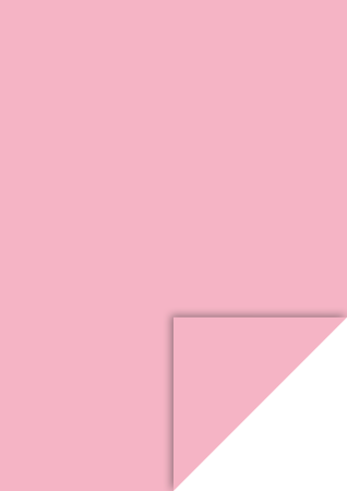 Hartie si cartoane colorate A4, A3 - KP CARTON A4 300GR ROSE 4726422