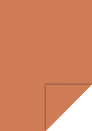 Hartie si cartoane colorate A4, A3 - KP CARTON A4 300GR TERACOTA 4726472