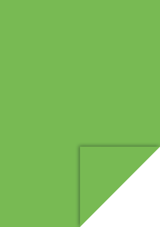 Hartie si cartoane colorate A4, A3 - KP CARTON A4 300GR VERDE IARBA 4726454