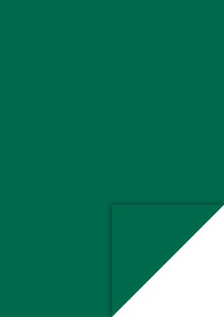 Hartie si cartoane colorate A4, A3 - KP CARTON A4 300GR VERDE INCHIS 4726459