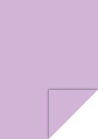 Hartie si cartoane colorate A4, A3 - KP CARTON A4 300GR VIOLET DESCHIS 4726461