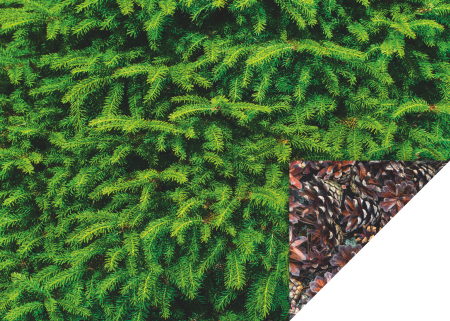 Carton Decor/ Hartie decor Craciun - CARTON DECOR 50*70 300GR MOTIV CRENGI/CONURI BRAD 4772256