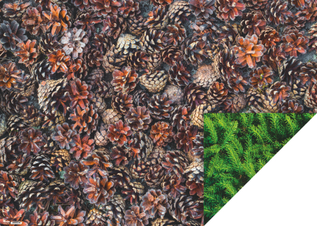 CARTON DECOR 50*70 300GR MOTIV CRENGI/CONURI BRAD 4772256 [1]