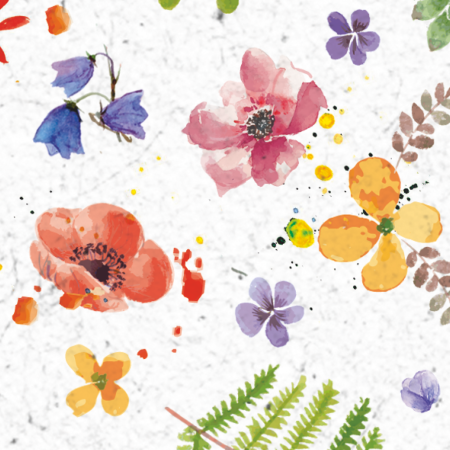 KP CARTON DECOR 50*70 300GR MOTIV FLORI PICTATE 4772257 [4]