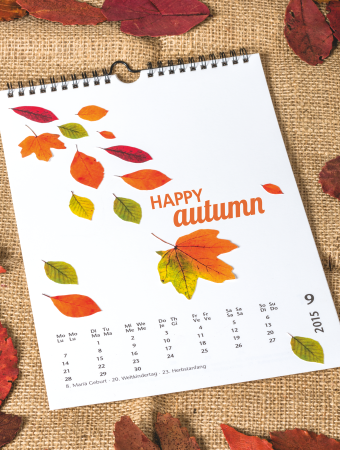 KP CARTON DECOR 50*70 300GR MOTIV IARBA/FRUNZE 4772288 [2]