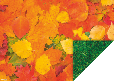 Carton decor/ imagini - KP CARTON DECOR 50*70 300GR MOTIV IARBA/FRUNZE 4772288