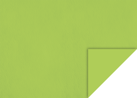 Carton color 50x70 - KP CARTON TEXTURAT 50*70 220GR VERDE DESCHIS 4720050