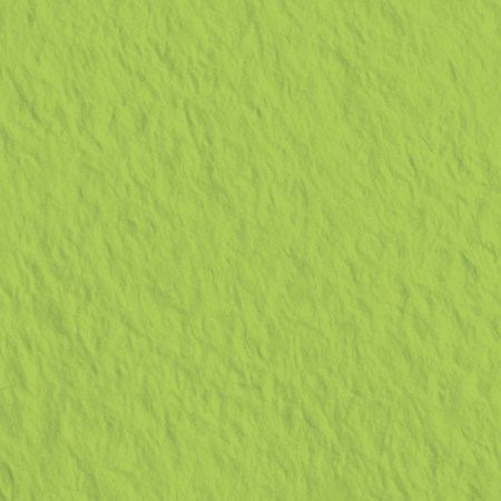 KP CARTON TEXTURAT 50*70 220GR VERDE DESCHIS 4720050 [1]