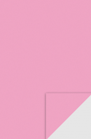 Moosgummi/ Foi Gumate - KP COALA GUMATA A4 2MM ROSE 8433224