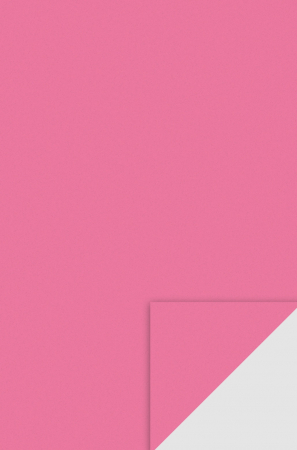 Moosgummi/ Foi Gumate - KP COALA GUMATA A4 2MM ROZ 8433240