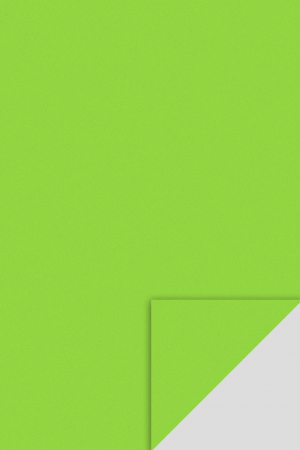 Moosgummi/ Foi Gumate - KP COALA GUMATA A4 2MM VERDE DESCHIS 8433460