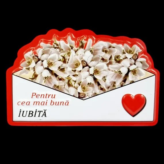 DE SEZON - MAGNET CU MESAJ "PENTRU CEA MAI BUNA IUBITA" BJ-W525