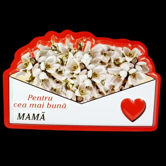 Martisor si 8 Martie - MAGNET CU MESAJ "PENTRU CEA MAI BUNA MAMA" BJ-W526