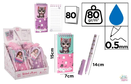 ARTICOLE COPII - NOTES + PIX BIG DREAM GIRLS 150*70MM 80GR/M2 SPIRA BD57001