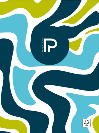 PA CAIET A4 72F 80g LINII COPERTA CARTON  24800067 [2]