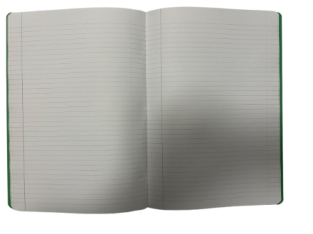 PA CAIET A4 72F 80g LINII COPERTA CARTON  24800067 [4]