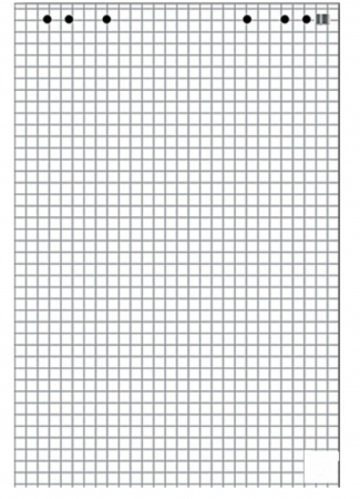 Flipcharturi si rezerve - PA HARTIE FLIPCHART 20COLI/SET 68*98 CM PATRATELE 21100058