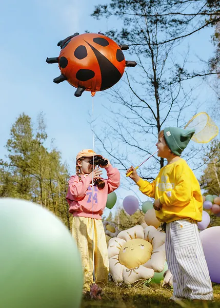 PD BALON FOLIE ALUMINIU Ladybug, 85x83cm, mix FB287 [3]