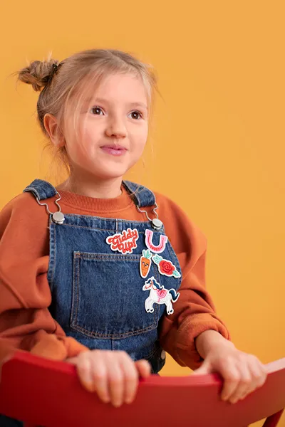 STICKERE TERMOADEZIVE Giddy up, mix, 2-7x3.5-7cm 5/set NAP10 [5]