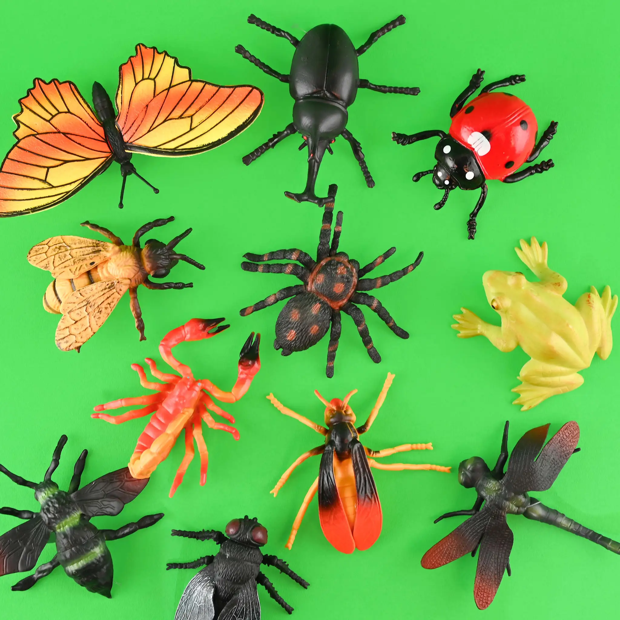 Animale/ Insecte - FIGURINA INSECTA 10-19CM 41858