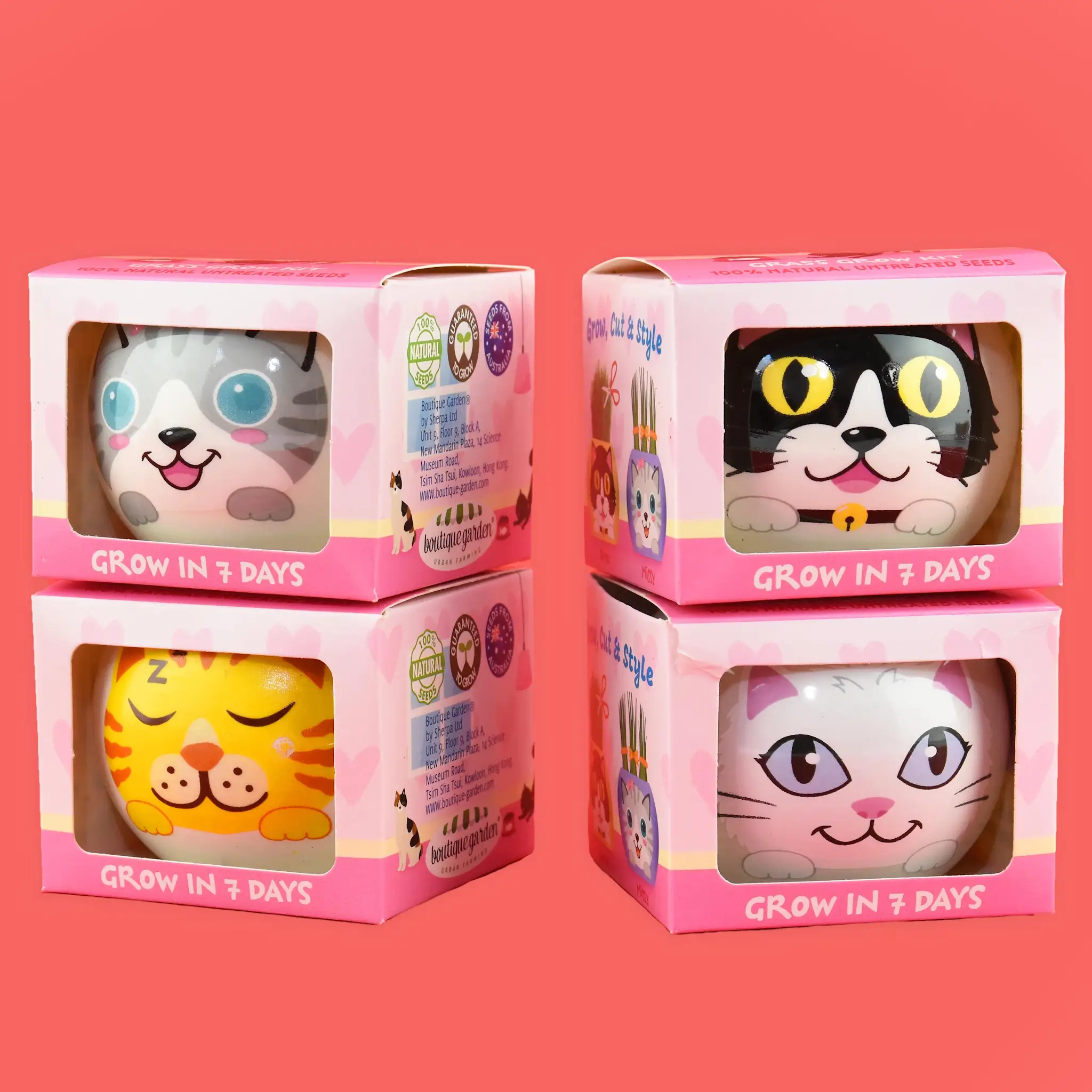 Jucarii - KIT CULTIVARE SEMINTE IARBA IN GHIVECI CERAMIC PISICA 30338