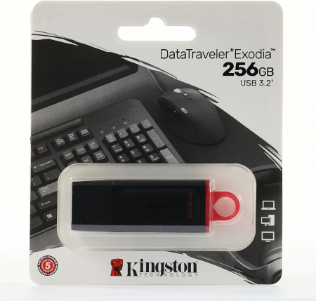 TEC FLASH USB 3.2 KINGSTON DATA TRAVEL EXODIA 256 GB DXT-256GB [4]