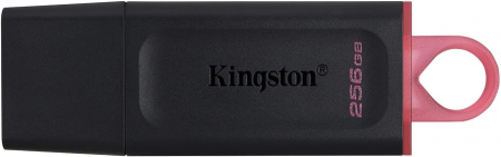 TEC FLASH USB 3.2 KINGSTON DATA TRAVEL EXODIA 256 GB DXT-256GB [0]