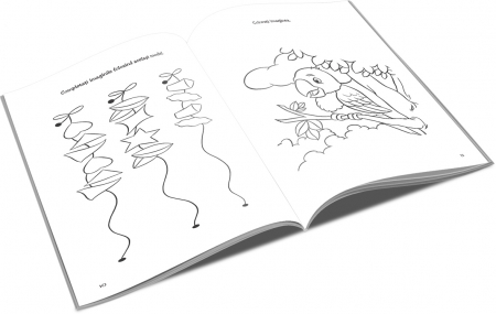 UP CARTE DE COLORAT DEZVOLTA SI CREEAZA pentru BAIETI 6-9 ANI [1]