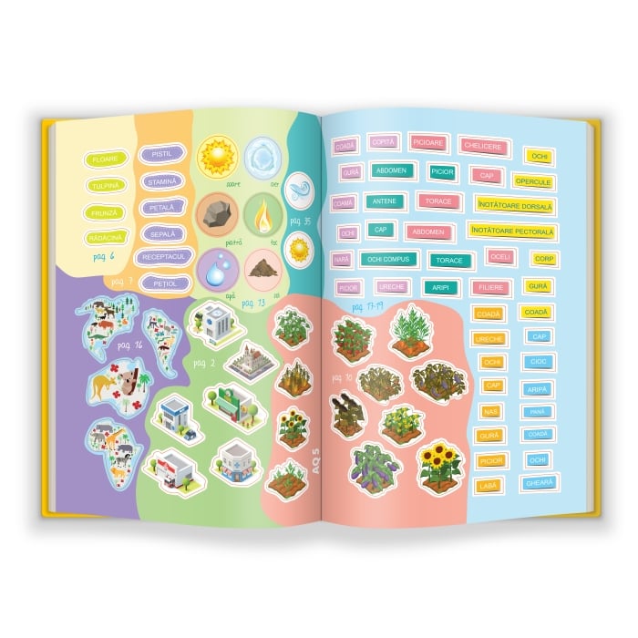 AQ.5 ani, MultiQ [3]