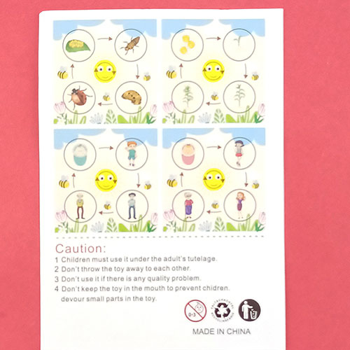 Joc Educativ ciclul de crestere al animalelor, plantelor si oamenilor [4]