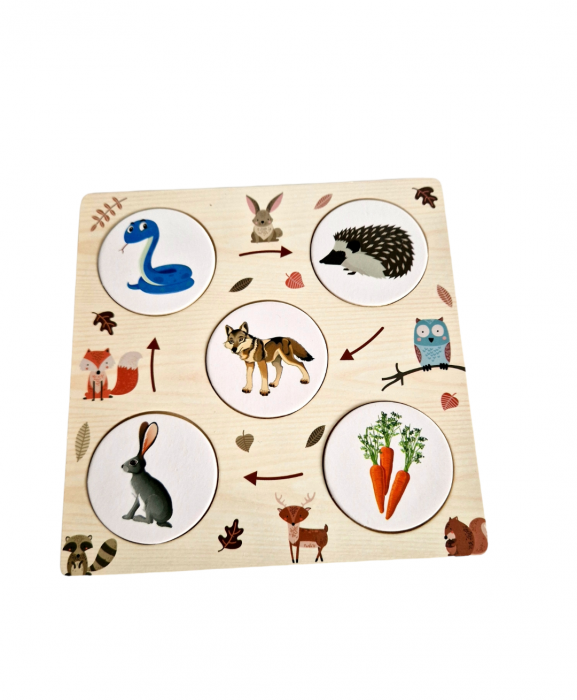 Joc educativ Cine vaneaza pe cine -food chain [3]