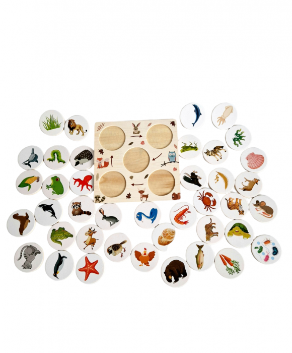 Joc educativ Cine vaneaza pe cine -food chain [4]