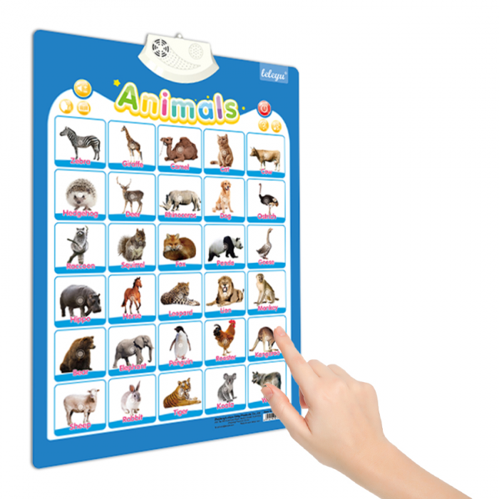 Postere Interactive in Limba Engleza - Diverse modele [6]