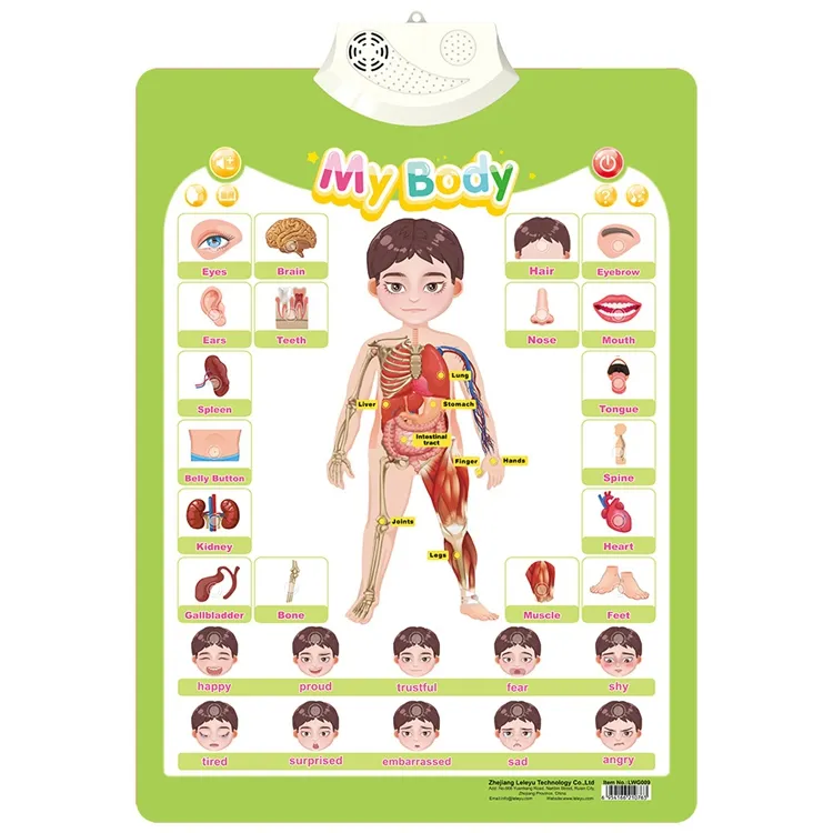 Postere Interactive in Limba Engleza - Diverse modele [7]