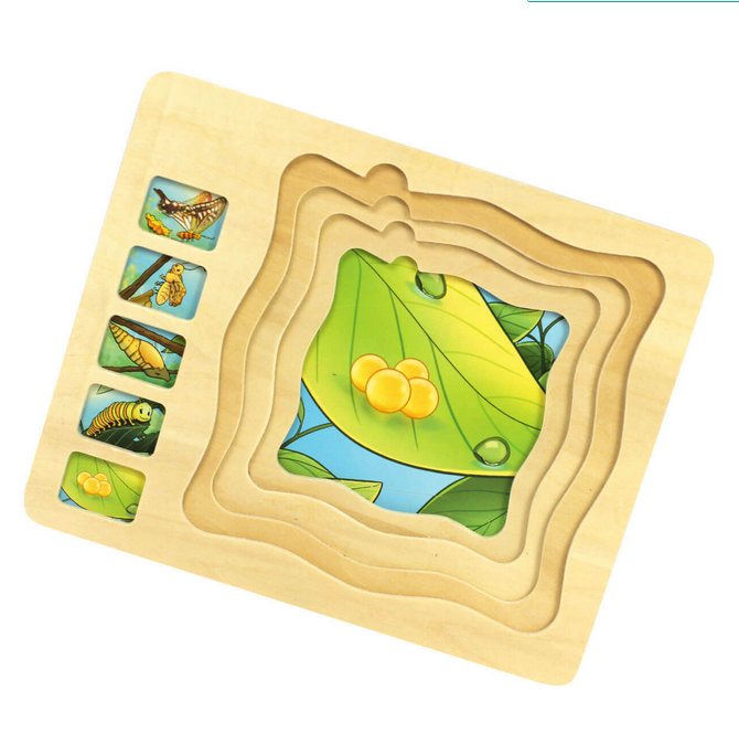 Puzzle din lemn in 5 straturi cu ciclul de viata al broastelor, 22x18x2cm [2]
