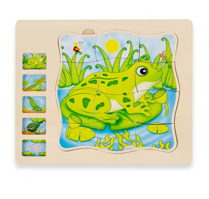 Puzzle din lemn in 5 straturi cu ciclul de viata al broastelor, 22x18x2cm [3]