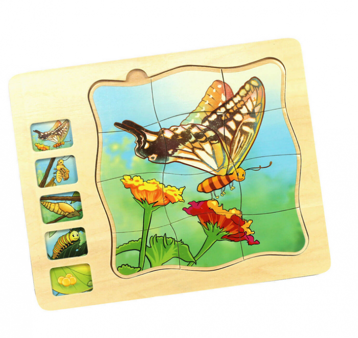 Puzzle din lemn in 5 straturi cu ciclul de viata al fluturelui, 22x18x2cm [6]
