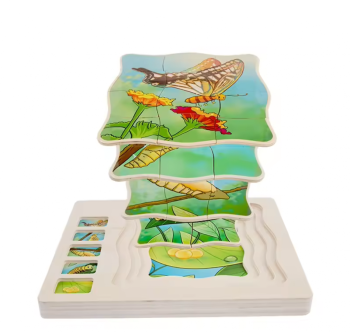 Puzzle din lemn in 5 straturi cu ciclul de viata al fluturelui, 22x18x2cm [4]