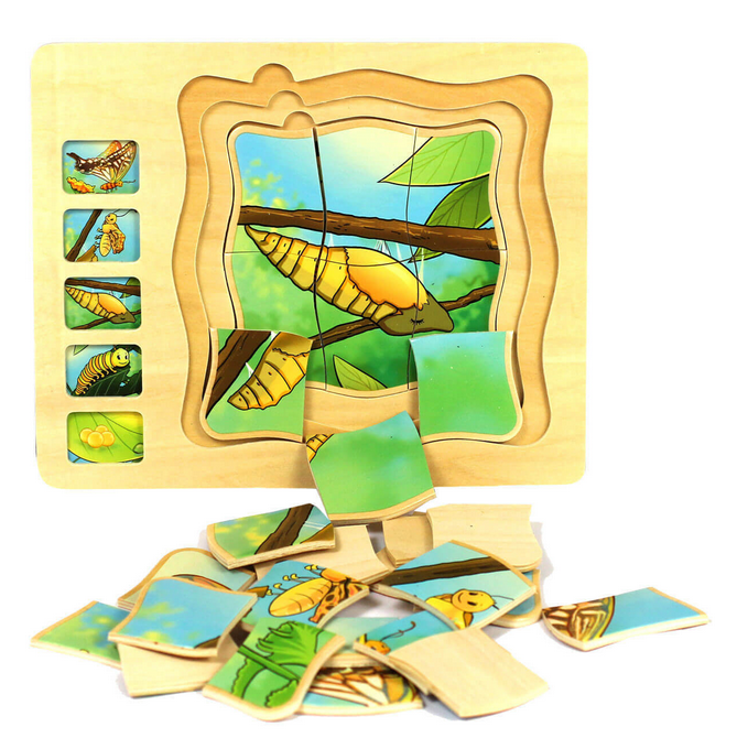 Puzzle din lemn in 5 straturi cu ciclul de viata al fluturelui, 22x18x2cm [5]