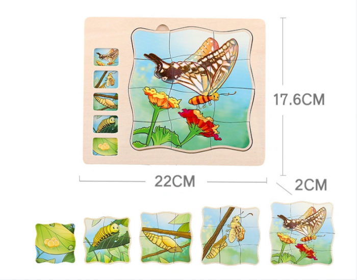 Puzzle din lemn in 5 straturi cu ciclul de viata al fluturelui, 22x18x2cm [3]