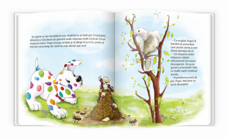 Pupo invata anotimpurile [1]