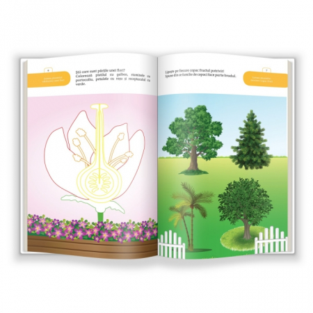 AQ.4 ani, MultiQ [2]