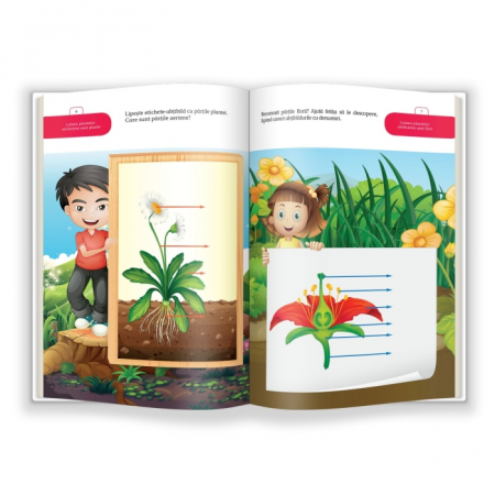 AQ.5 ani, MultiQ [1]